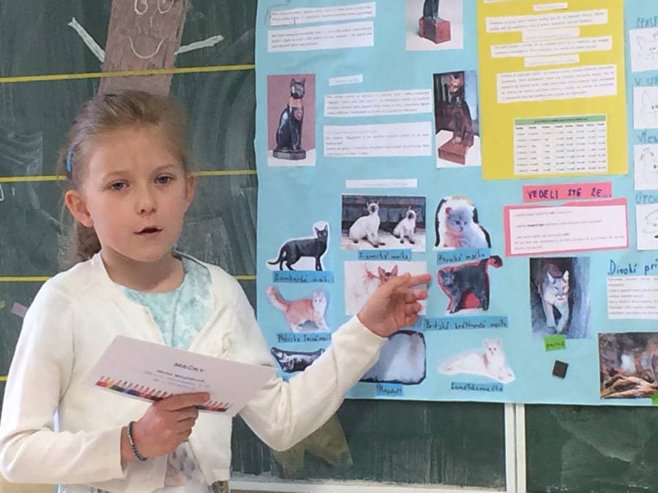 Ročn�kov� pr�ce I. stupeň