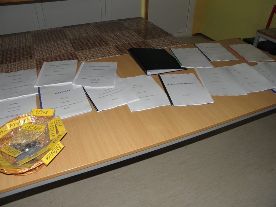 Ročn�kov� pr�ce II. stupeň